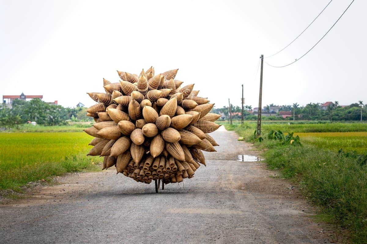 entreprise  piège